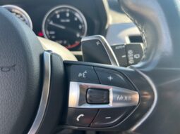 BMW X2 F39 sdrive18d Msport X auto pieno