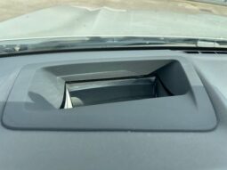 BMW X3 G01 xdrive20d mhev 48V pieno