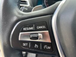 BMW X3 G01 xdrive20d mhev 48V pieno